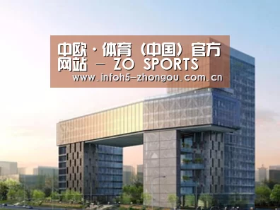 案例展示四