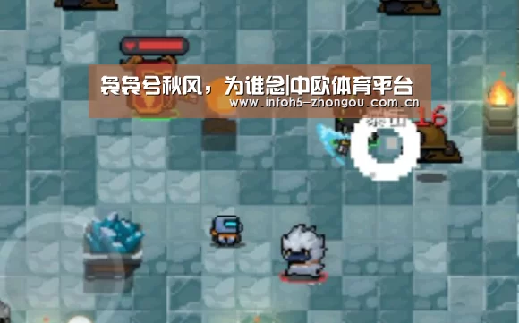 zoty体育