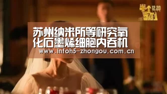 中欧体育平台