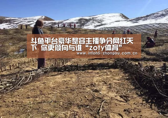 斗鱼平台豪华整容主播争分网红天下 你更倾向与谁“zoty体育”(图2) 中欧体育平台