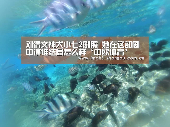 刘倩文神犬小七2剧照 她在这部剧中演谁结局怎么样‘中欧体育’(图1) 中欧体育官网